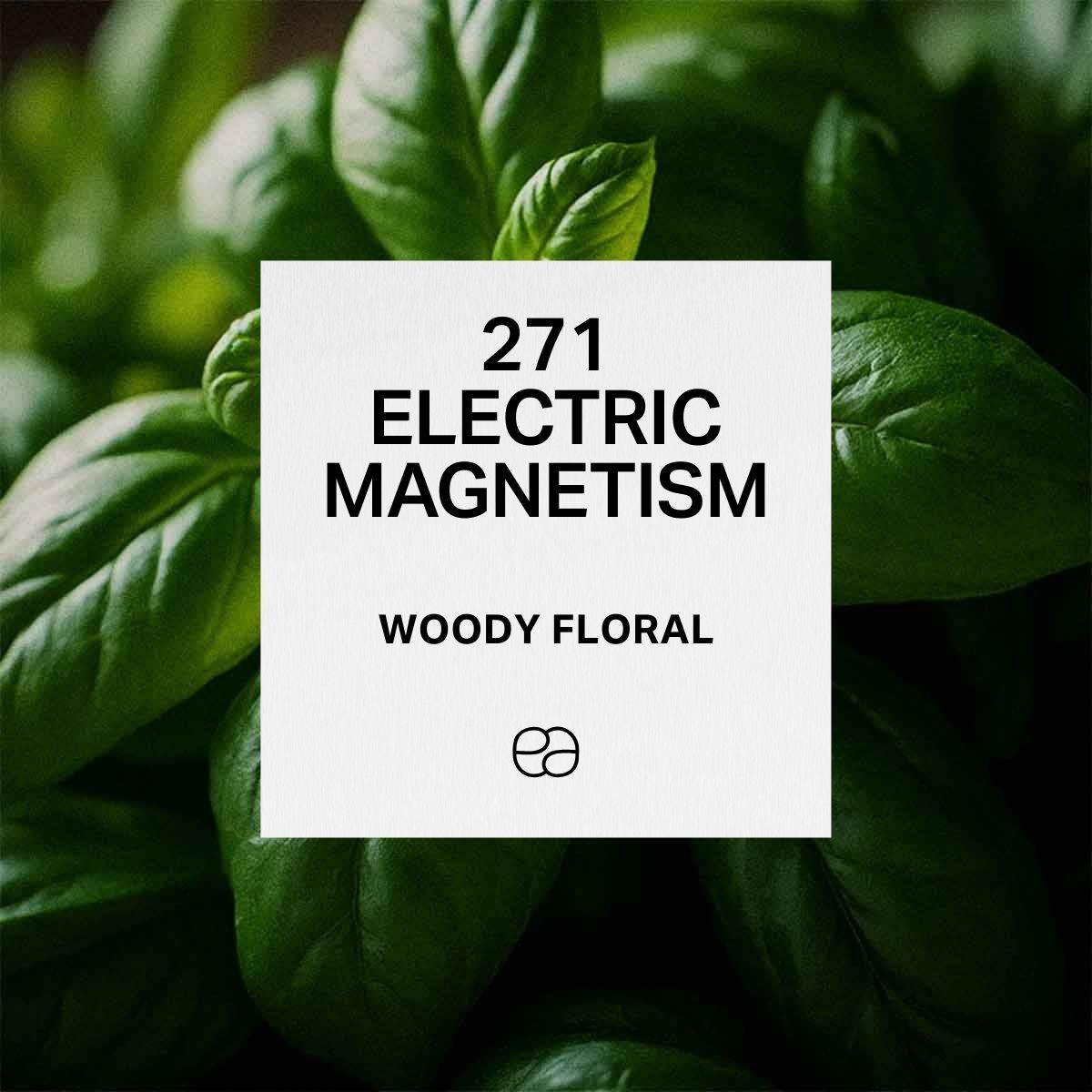 Electric Magnetism